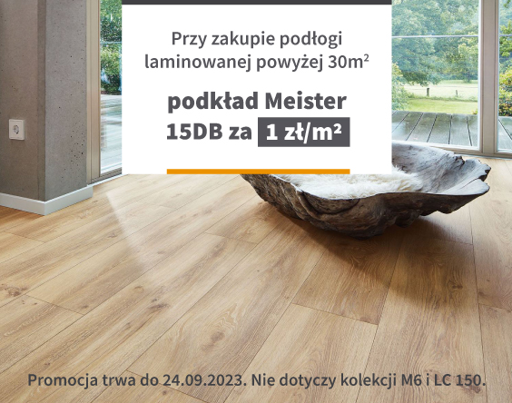 PD_wpis_564x444